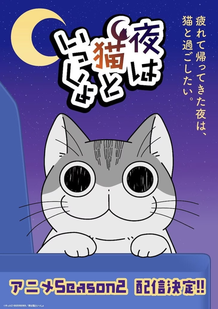 动画《与猫共度的夜晚》宣布第2季将于2023年配信 宅日报 第1张