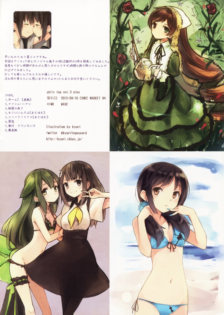 (C84) [SSDL (kyuri)] Girls Log vol.3 Plus