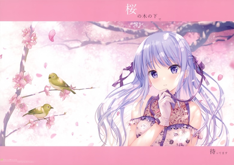 (C98) [TwinBox (花花捲、草草饅)] CherryBlossom