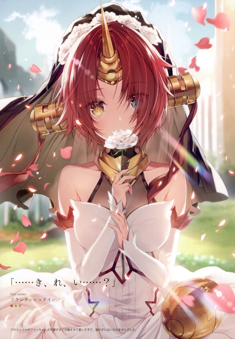 (C93) [necömicle (necömi)] necomix2 (Fate Grand Order)