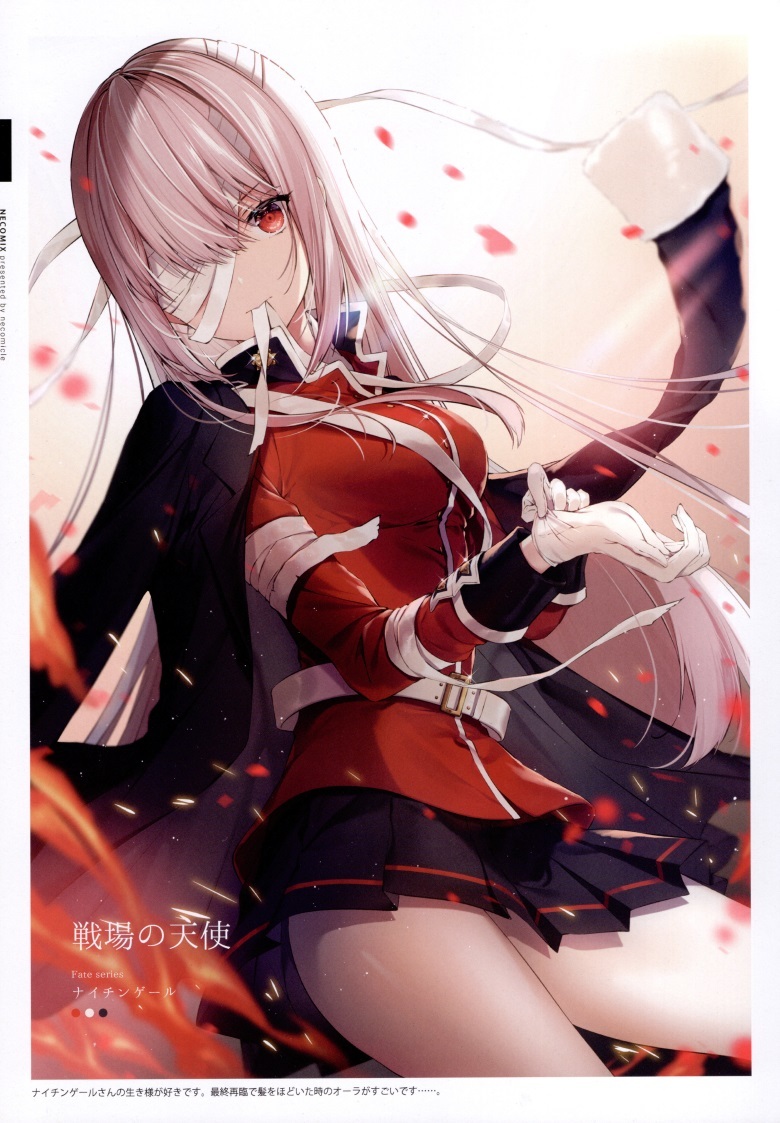 (C93) [necömicle (necömi)] necomix2 (Fate Grand Order)