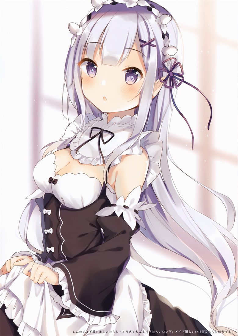 (C94) [Gelatin* (椎野せら)] Re:Zero Collection vol.2 (Re:ゼロから始める異世界生活)